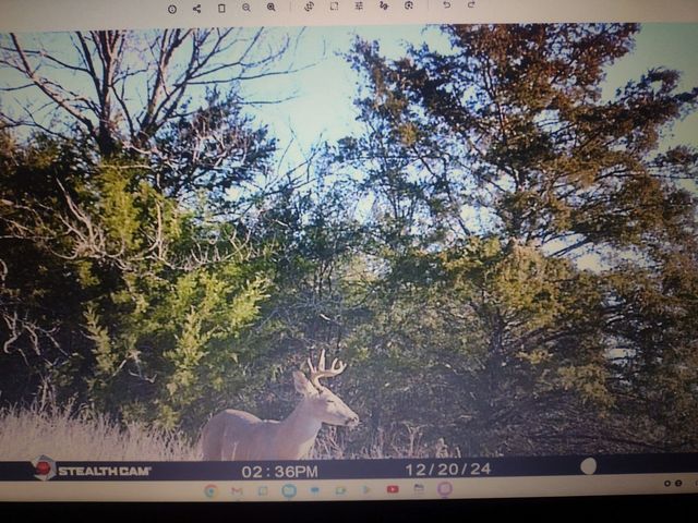 TBD Farm to Market 2737, Lone Oak, TX 75453