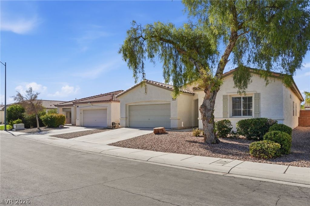 4033 Annendale Avenue, North Las Vegas, NV 89031 — photo 3