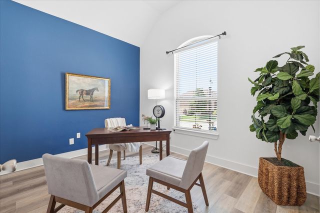 9521 Leisure Pace Lane, Oak Point, TX 75068