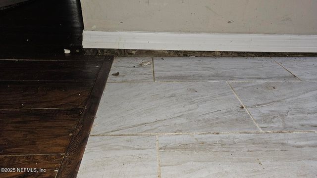 1545 IBIS Drive, Orange Park, FL 32065