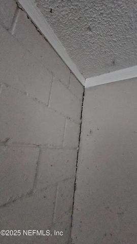 1545 IBIS Drive, Orange Park, FL 32065