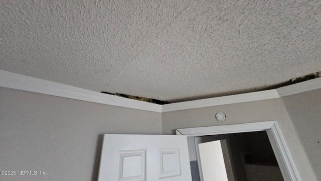 1545 IBIS Drive, Orange Park, FL 32065