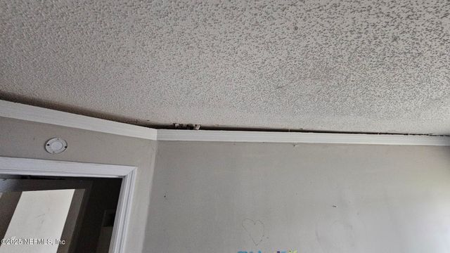 1545 IBIS Drive, Orange Park, FL 32065