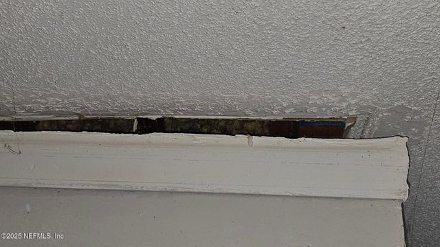 1545 IBIS Drive, Orange Park, FL 32065