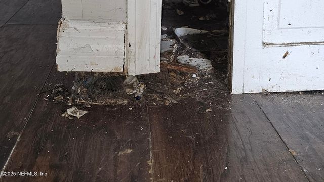 1545 IBIS Drive, Orange Park, FL 32065