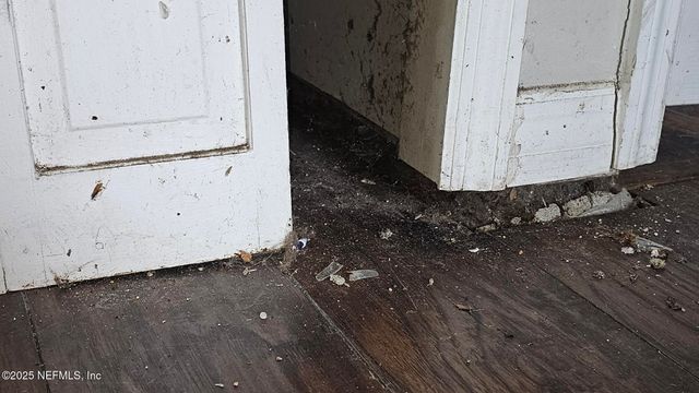 1545 IBIS Drive, Orange Park, FL 32065