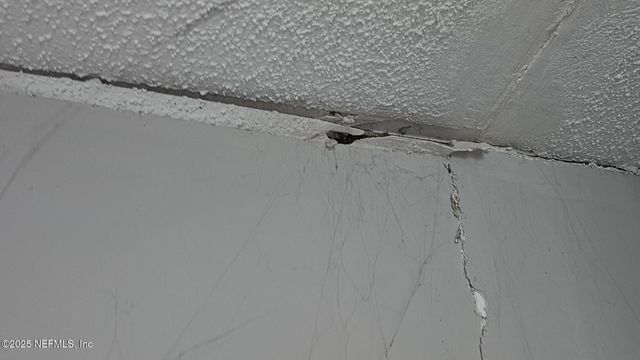 1545 IBIS Drive, Orange Park, FL 32065