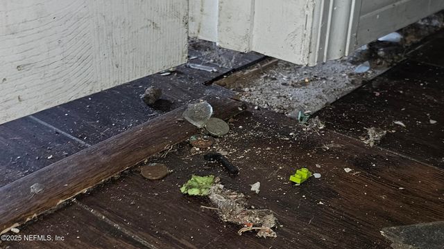 1545 IBIS Drive, Orange Park, FL 32065