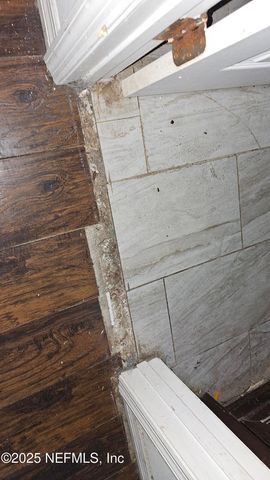 1545 IBIS Drive, Orange Park, FL 32065