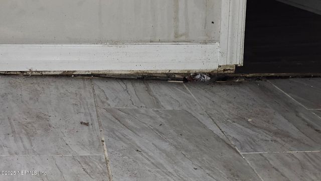 1545 IBIS Drive, Orange Park, FL 32065