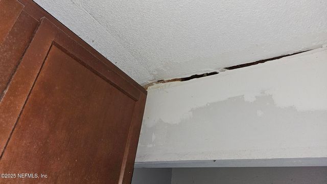 1545 IBIS Drive, Orange Park, FL 32065