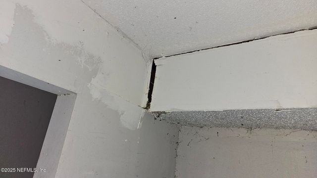 1545 IBIS Drive, Orange Park, FL 32065