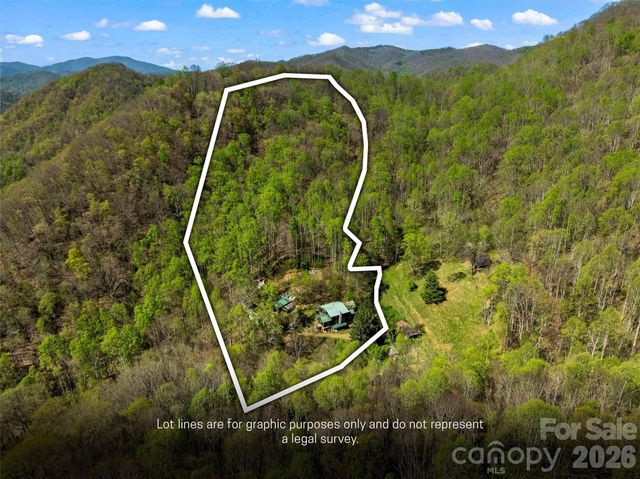 1717 Howard Moore Road, Hot Springs, NC 28743
