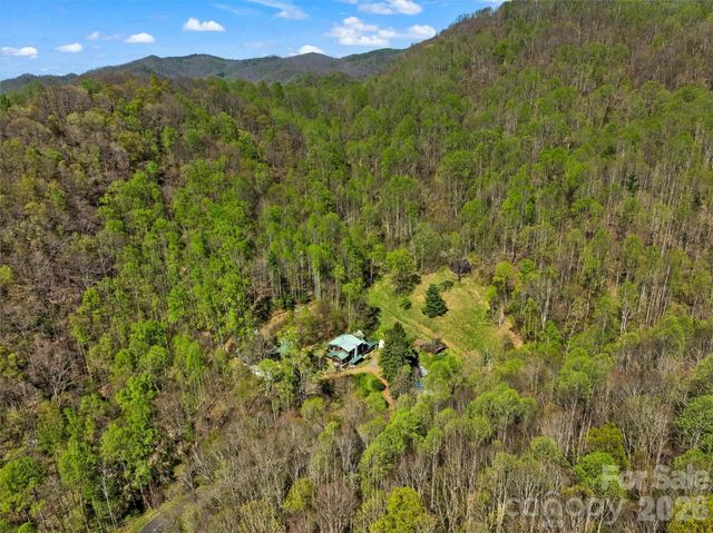 1717 Howard Moore Road, Hot Springs, NC 28743