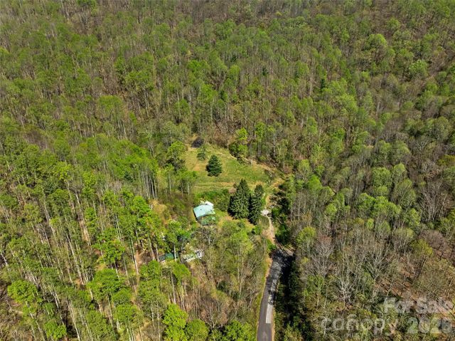1717 Howard Moore Road, Hot Springs, NC 28743