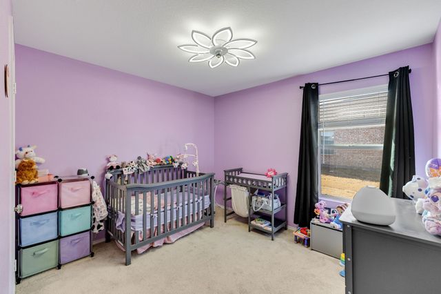 14164 Danesdale Drive, Pilot Point, TX 76258