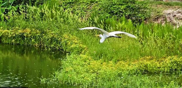 4858 NW 16th Terrace, Boca Raton, FL 33431