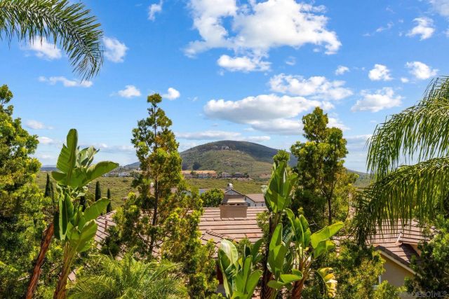 3228 Sitio Montecillo, Carlsbad, CA 92009