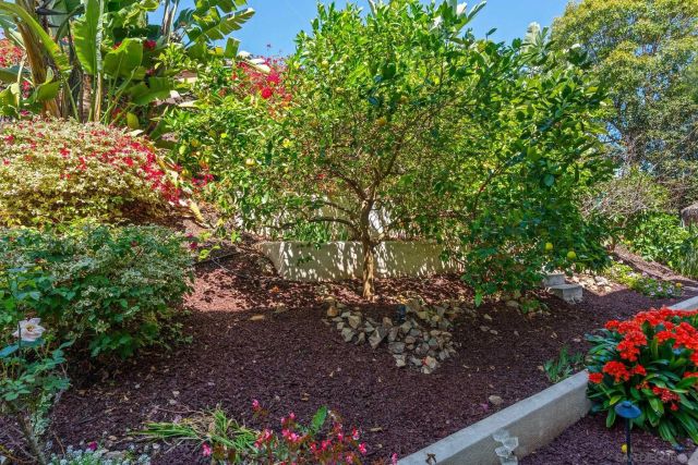 3228 Sitio Montecillo, Carlsbad, CA 92009