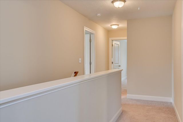 805 Brasstown Court, Evans, GA 30809