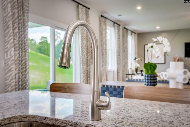 338 Chapin Place Way, Chapin, SC 29036