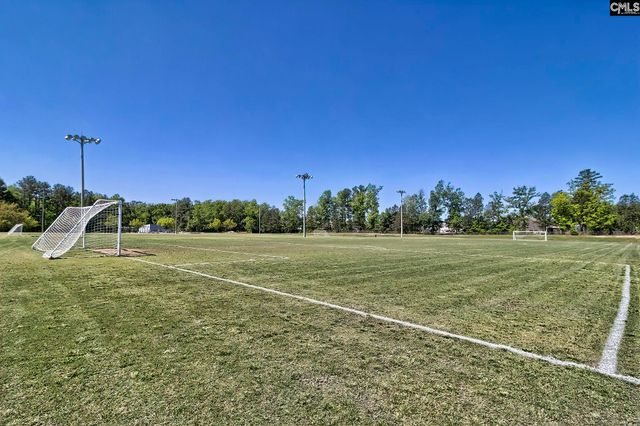 338 Chapin Place Way, Chapin, SC 29036