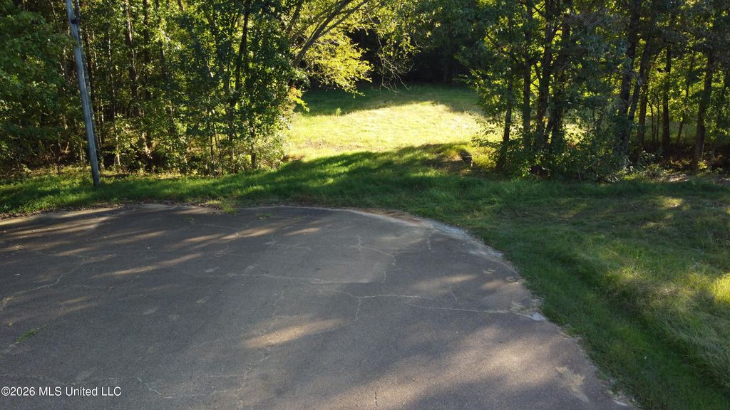 Scattered Oaks Cove, Byhalia, MS 38611 — photo 2