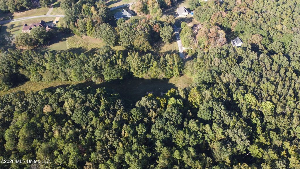 Scattered Oaks Cove, Byhalia, MS 38611 — photo 3