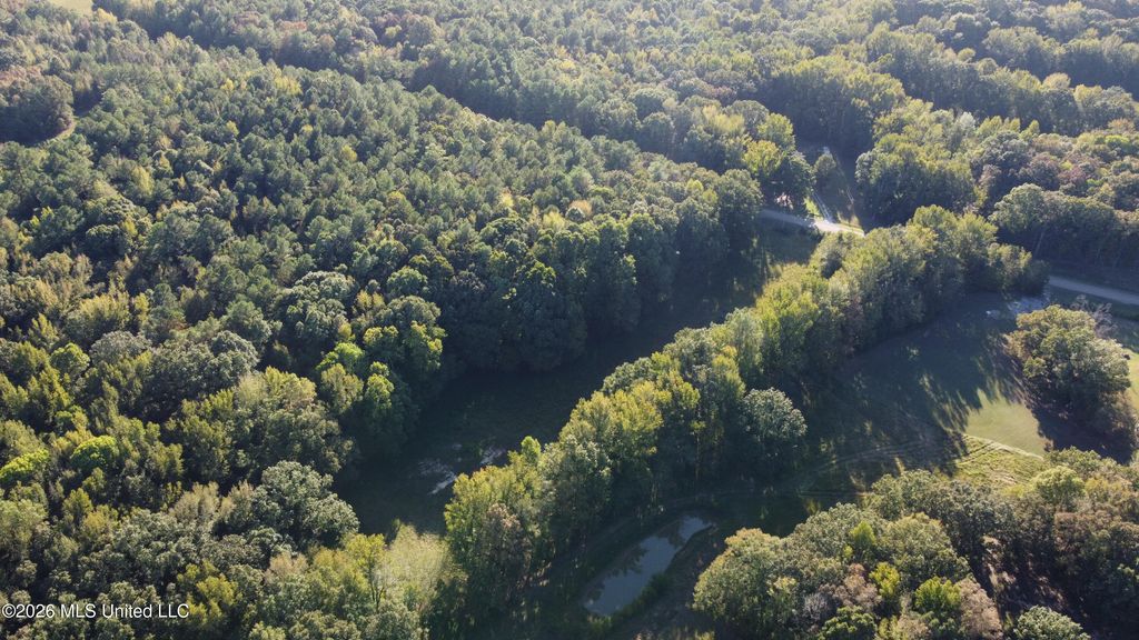 Scattered Oaks Cove, Byhalia, MS 38611 — photo 5