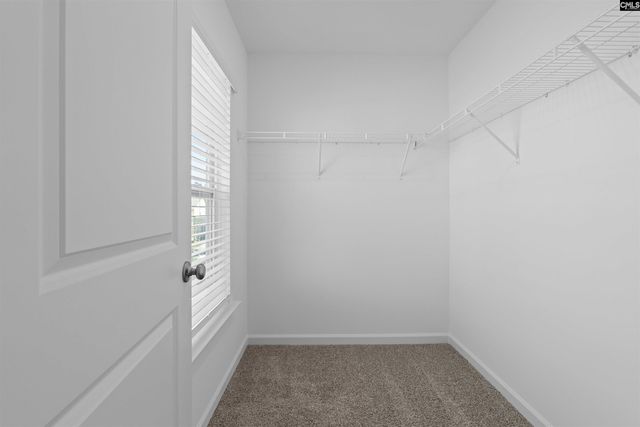 645 Forsythe Lane, Columbia, SC 29223