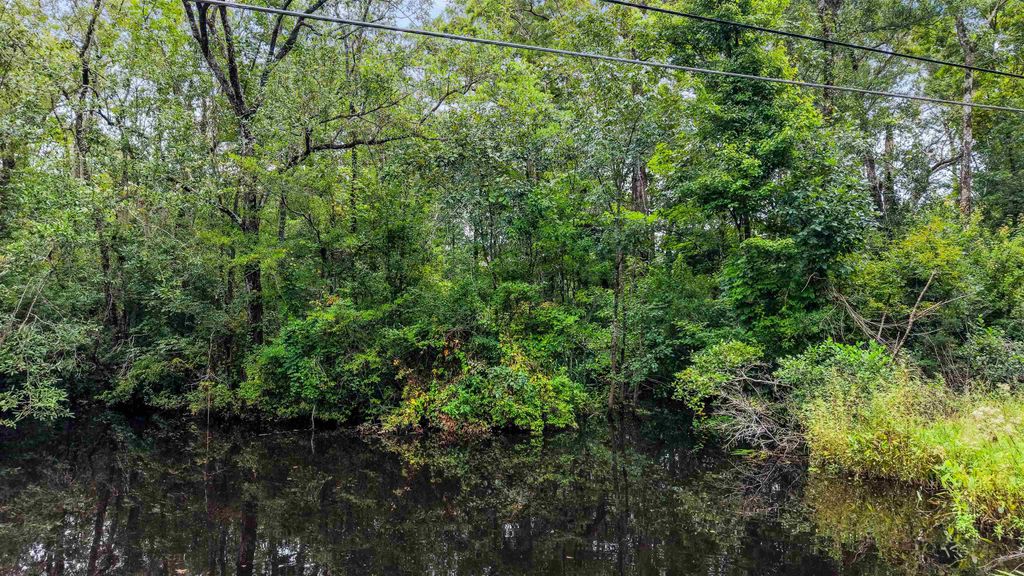 0 Meggett Dr., Georgetown, SC 29440 — photo 2