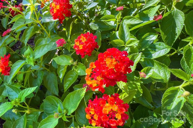 4 Nectar Way, Swannanoa, NC 28778