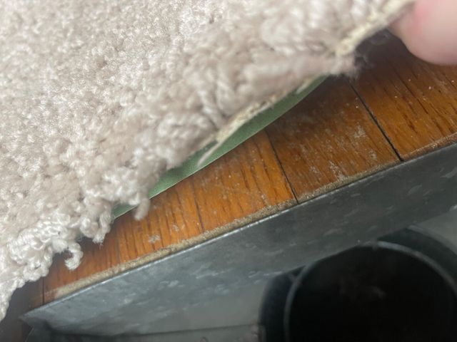 9567 Columbia Street, Redford Charter Twp, MI 48239