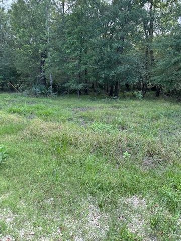 TBD Walker Dr, Cleveland, TX 77327
