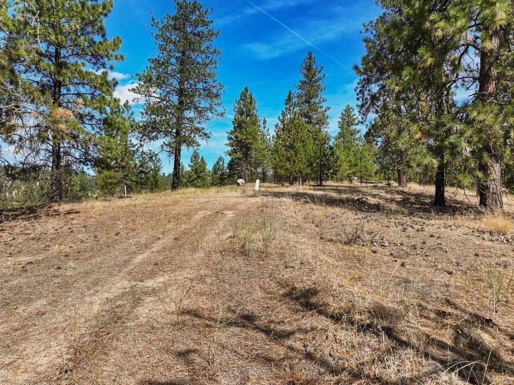 NKA N Cliff Ln, Spokane, WA 99208