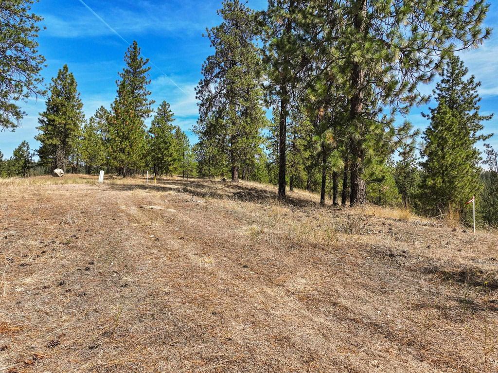 NKA N Cliff Ln, Spokane, WA 99208 photo 5