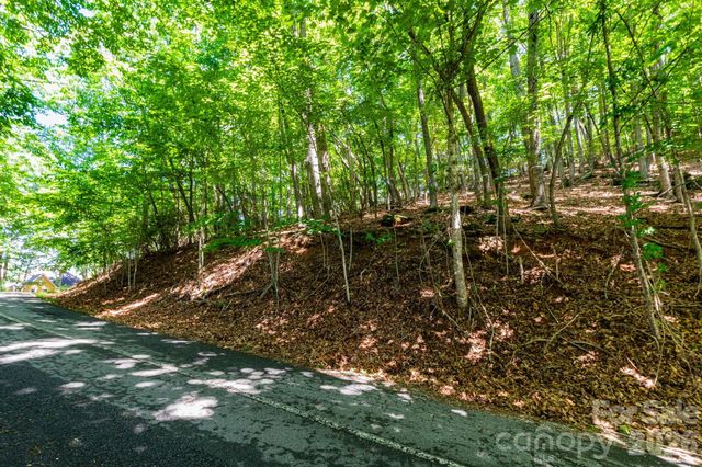 50 Cedar Drive, Mills River, NC 28759