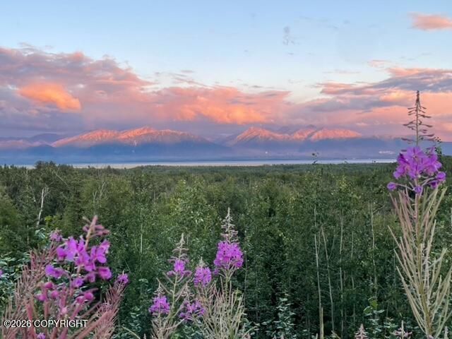 5038 W Pinnacle Ridge Circle, Wasilla, AK 99623