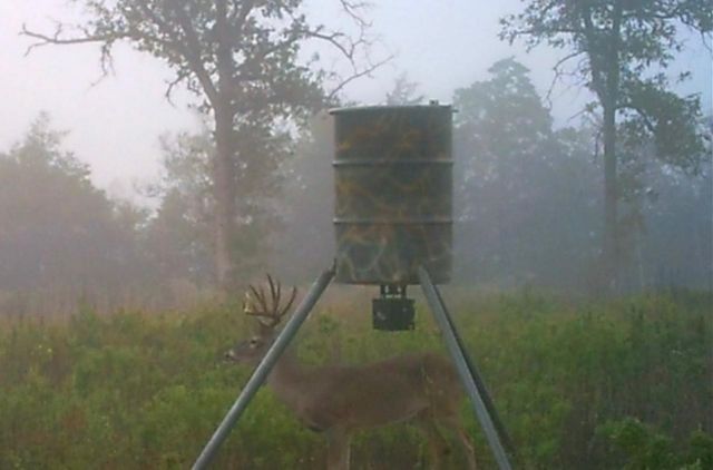 3747 Sparta Field Road, Waelder, TX 78959