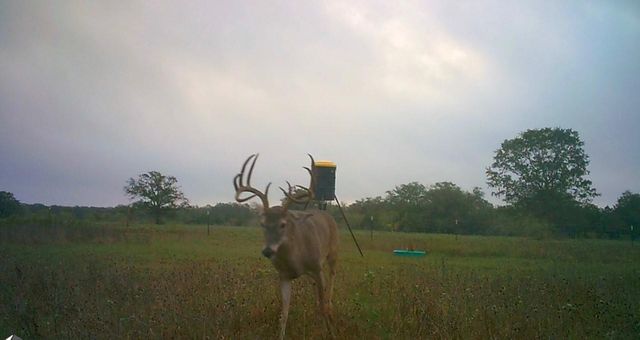 3747 Sparta Field Road, Waelder, TX 78959