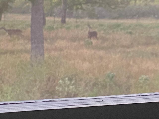 3747 Sparta Field Road, Waelder, TX 78959