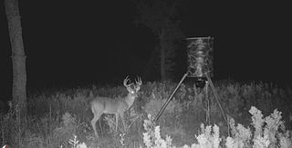 3747 Sparta Field Road, Waelder, TX 78959