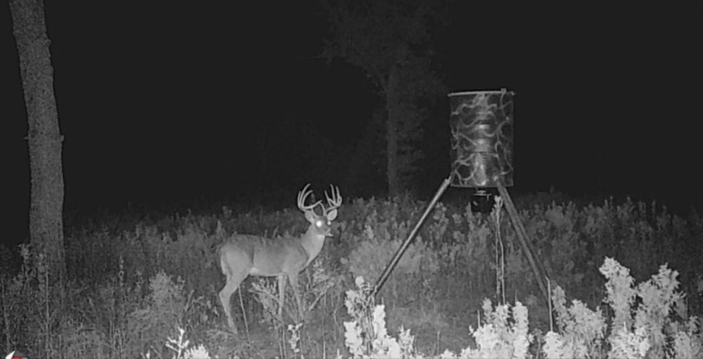 3747 Sparta Field Road, Waelder, TX 78959