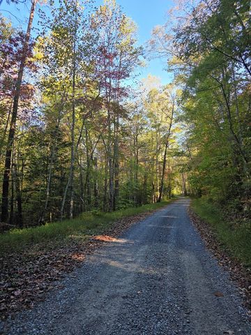0 Garrett Branch Circle, Ellijay, GA 30540