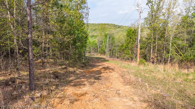 9640 Burgess Road, Mulberry, AR 72947