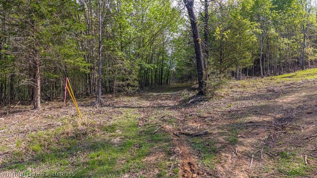 9640 Burgess Road, Mulberry, AR 72947