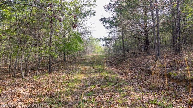 9640 Burgess Road, Mulberry, AR 72947