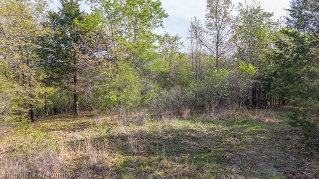 9640 Burgess Road, Mulberry, AR 72947