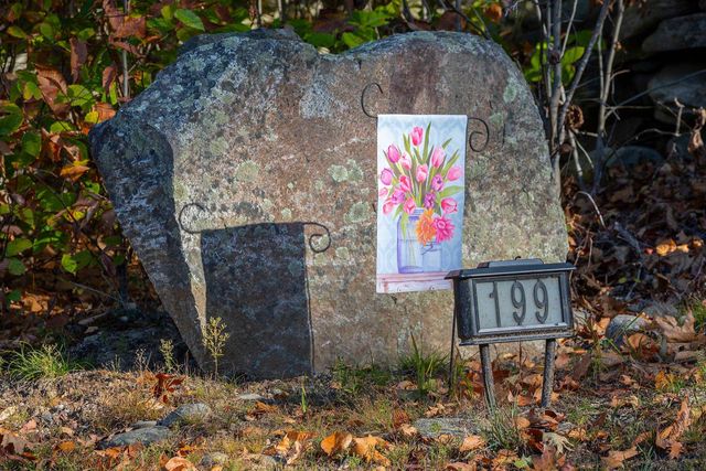 199 Turkey Mountain Road, Jamaica, VT 05343