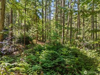 0 SP1354 E Glenwood Drive, Union, WA 98592